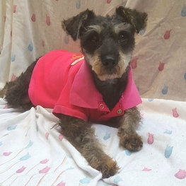 D 2a91cbfa 6392 4184 a12c da79a23f271b