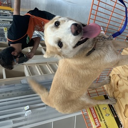 D 31a4ba53 eab9 4edc 8303 48aa73a5c470