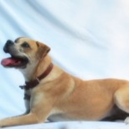 D 3af7b255 cf52 4a77 994a b2b383cc2b9e