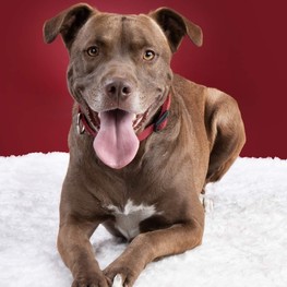 D 330b39a8 c2fb 4ba5 816d 3100fa7bb57e