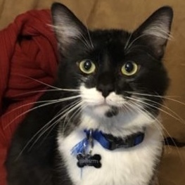 D 2b96ff69 4fc6 4133 b61b d382f6113888