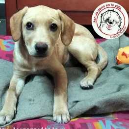 D 7126f967 ea8f 483c 9a41 93ad6bb6839e