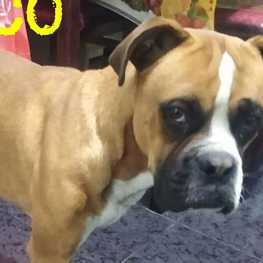 D 6cf1872c 6e52 4d46 a4dc 5cff9405dc9c