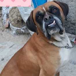 D 13d02fe6 0555 4437 bae9 ce2e90751978