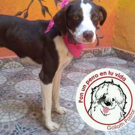 D e72a5820 64ea 47e2 a0f7 0c3b8ff76b96