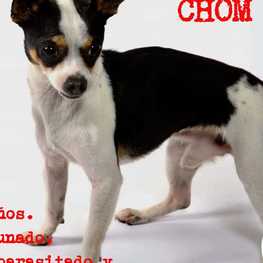 D feda50fc 7670 49dd 8ac2 b3e897bf54dc