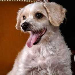 D 7d41e00e f5d5 4920 8854 5f7c0ca0c490