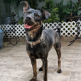 D a4eef70d 633a 4c58 9ca0 92882f91df2f