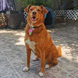 D 23053478 3b31 412b b6e9 1d985a25295b