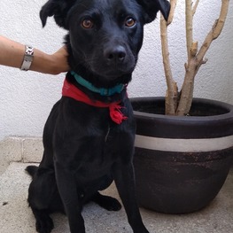 D 25b18a0b 5c9c 48e7 9966 69064c2af416