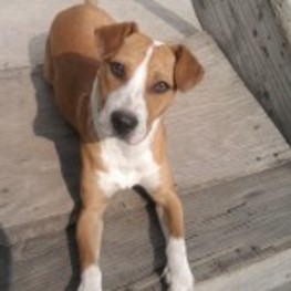 D 8fd4d036 1201 47b6 9ce0 bdf6026d4c78