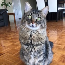 D 97431704 0c40 469f 8605 db169e5c87dc