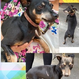 D 04cecf88 ec83 4967 8b29 af4296b5ca56