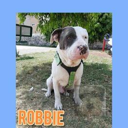 D 13f6e33f 9c7f 464c a335 5af6c2324571