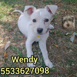 D ba87fdae 826c 417f b554 a47994e2e8c5