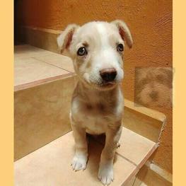 D 86e8c3f2 672a 4d46 815c 4c448f8d6d89