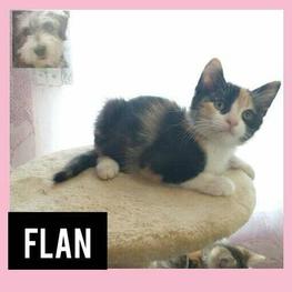 D 36b707c3 183e 42be 954f b8c950541175