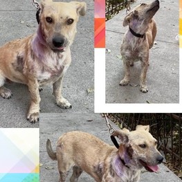 D 18ff24ee 0702 4edf 8c39 3ca24cce0b86