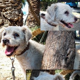 D 2e5e8934 c56a 4fa7 9327 76eb03d16770