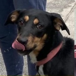 D 515d3a74 c980 4379 b0aa 04962749507e