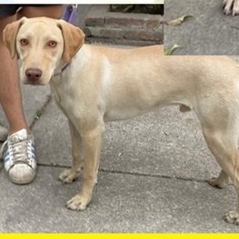 D 26fb4082 a2c2 490a a4fa 5567b087afec