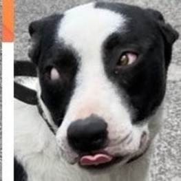 D bf4c99f7 3869 4825 8b6c 2460aecc15cc