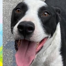 D c539f7f6 ce79 4e14 8fa3 30460d89c185