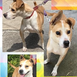 D 706cfaa0 b0aa 40b1 afa4 a2d1f342f1dd