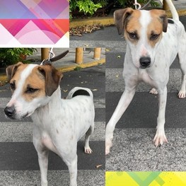 D 033213fc e2c2 4e3c a918 f4c3ca6d28ec