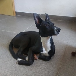 D f9169f70 a024 414e be04 315c15a99eca