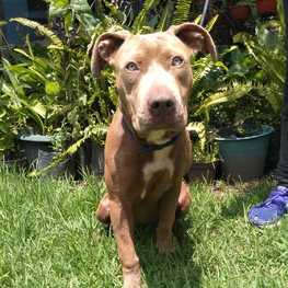 D 34ba7c71 ae2f 459b ba0e e02b55b82b57