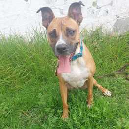 D 527631e2 4b42 4ddd ab3b ae46ef452fd0