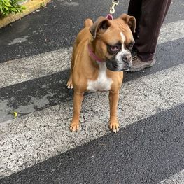 D 1f5a0239 03f9 4c9c 8f0d 71d12b074c36