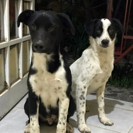 D 21c871dc 7879 4a2e a837 f40de7b16504