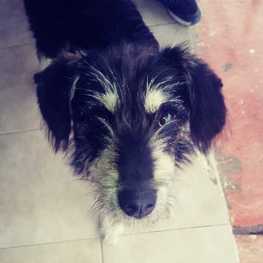 D ce8fa565 b4eb 44cb 93cb 2cb71f688e42