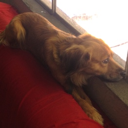 D 44184eb2 e8c5 45e5 9df7 2ea09ad211f3