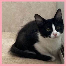 D 58280d84 ee58 4bde a3cb 06647649fb26