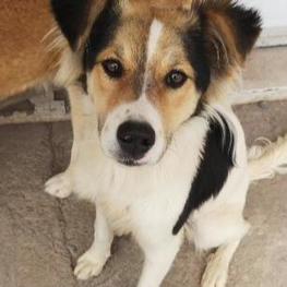 D 0a45dae4 bc2a 4722 bf29 a5a95ccece75