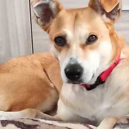 D 4813fdd7 d32d 4219 a421 9cddf45e61f4