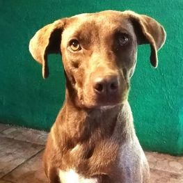 D fc8e4c2b 68d2 4545 8617 6eba802d98fb