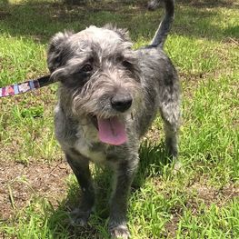 D 67d9c7db 74cf 4eef 91db c418e4d270e7