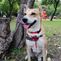 D a10f7597 e671 49b5 af05 6ae50da53cbb