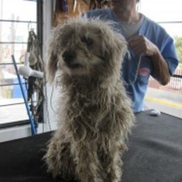 D 02c40ea9 e814 41df ac42 4e46c955e97b