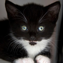 D bb8a7e50 9c6d 41fc a6df 193e81ae94da