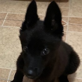 D 9950496f fa08 4183 9b1e 913d4187513e