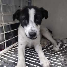 D cb334d03 7019 4078 9396 a6eafea4564d