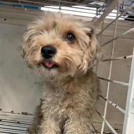 D d2dd64d4 532d 4759 ad58 18923ae65c1d