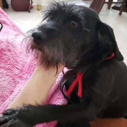 D 9dff4e63 c485 4c69 b1ae 73ec6051b51a