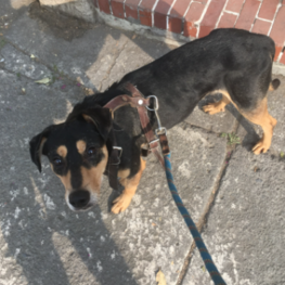 D a4e3ec37 c294 4b77 b6d6 61d7d9fcb5fb