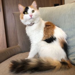 D 026e40fa 3b0f 4ecd b5a0 f914fdb7d348